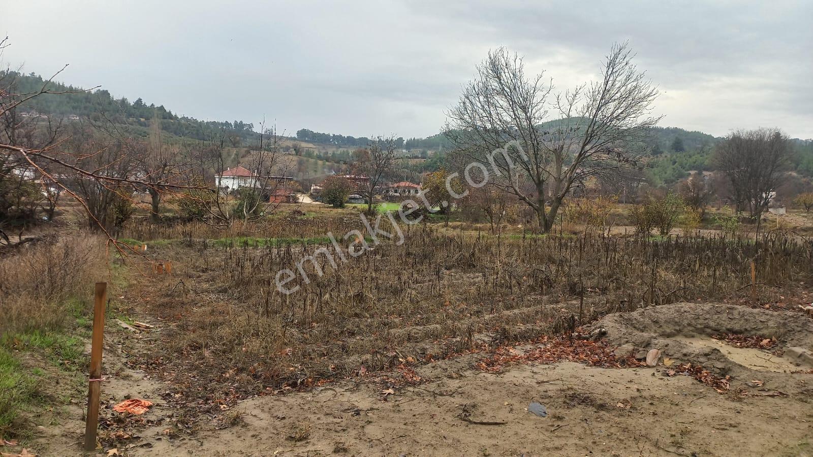 Rest Emlak- Muğla Menteşe Çamoluk Mh Yatırıma Uygun Satılık Tarla - Görsel 6