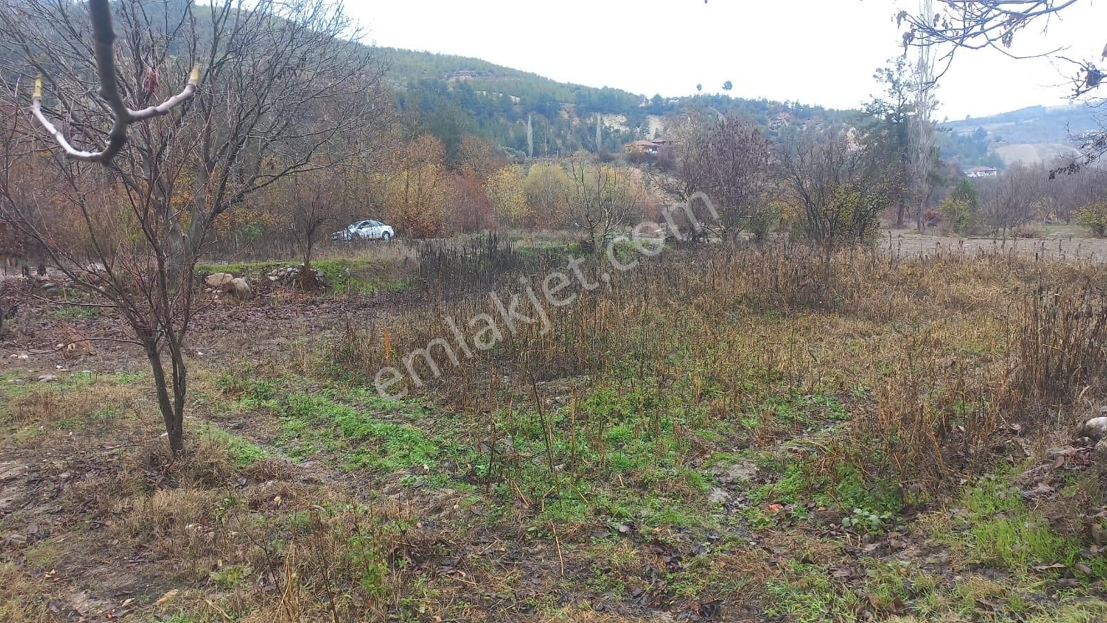 Rest Emlak- Muğla Menteşe Çamoluk Mh Yatırıma Uygun Satılık Tarla