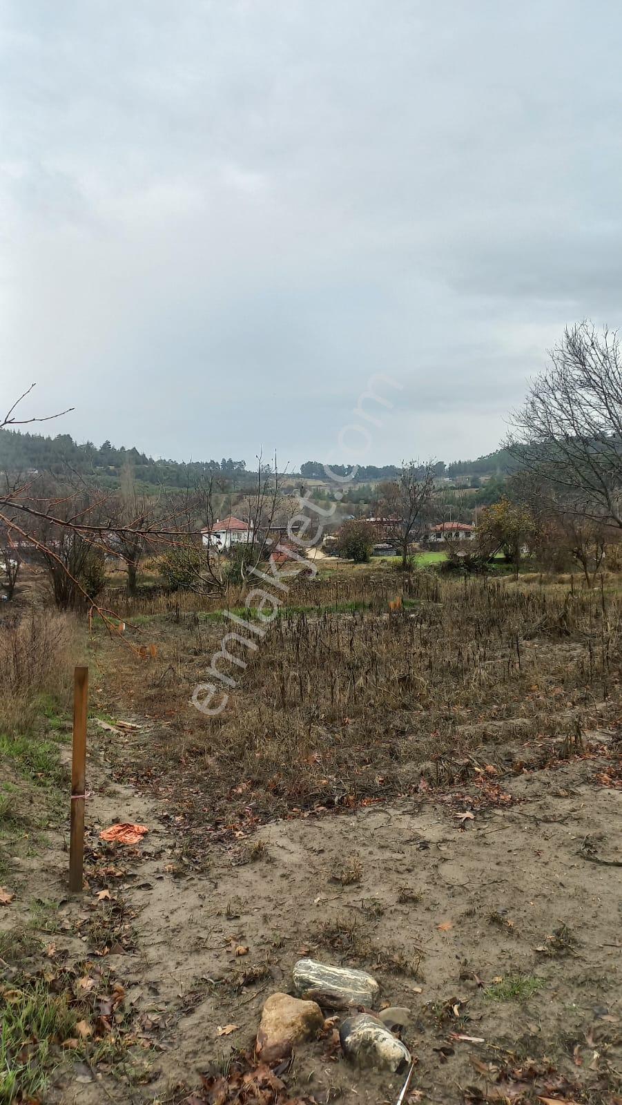 Rest Emlak- Muğla Menteşe Çamoluk Mh Yatırıma Uygun Satılık Tarla - Görsel 7