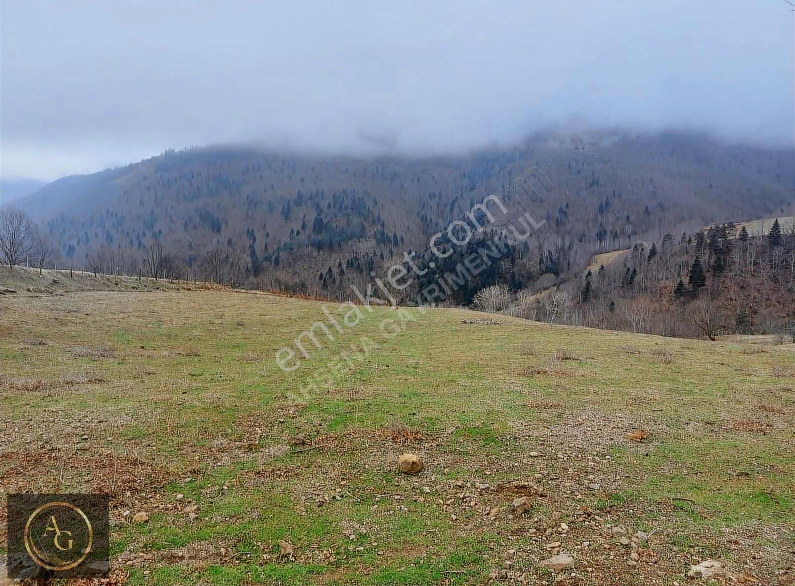 Ahşena'dan Alaçam'da Ev Yapımına Uygun 3520 M2 Satılık Arazi
