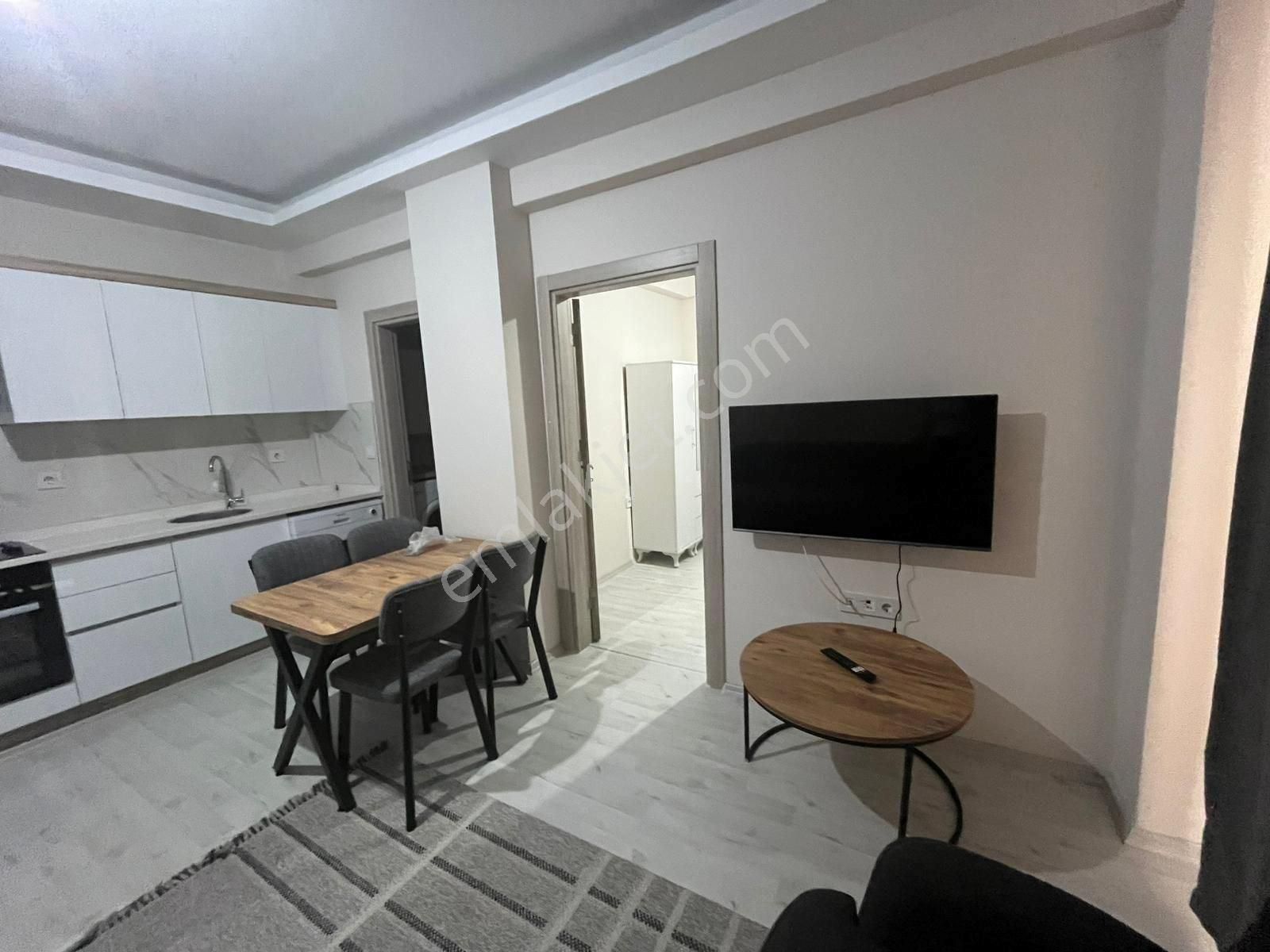 İzmir Menemen Seyrekte Kiralık Sıfır Eşyalı 1+1 Daire - Görsel 3