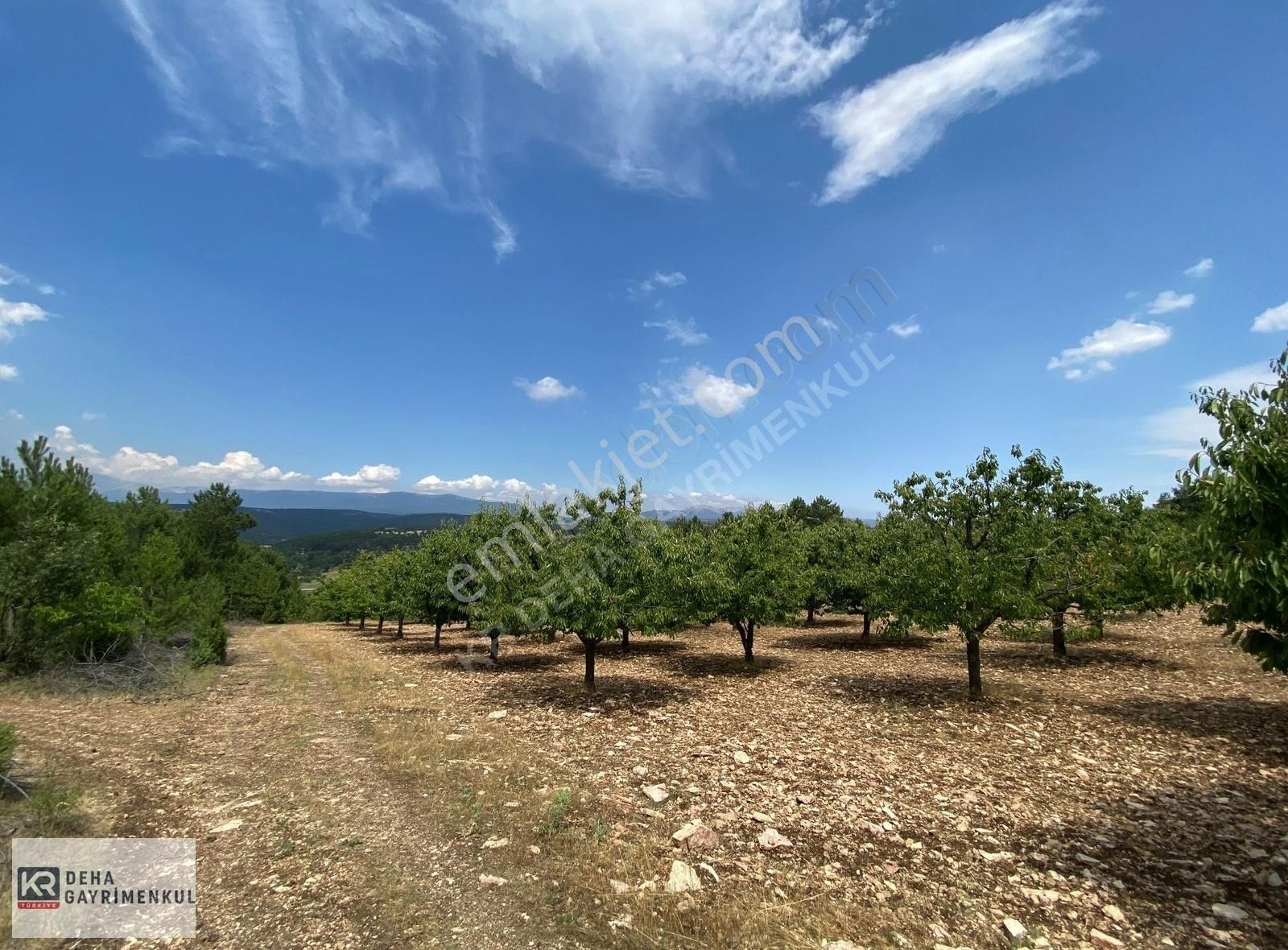 Keles Kıranışıklar ' Da 21.370 M². Satılık Meyve Bahçesi & Arazi