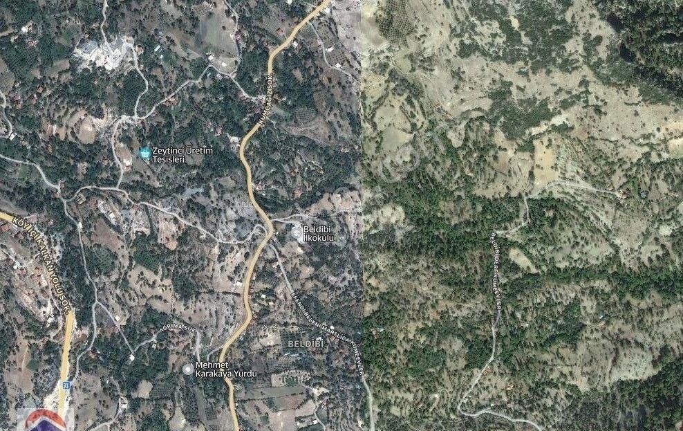 Acil Satılık Kaş Beldibi'nde Doğa İçinde Büyük Hisse Tarla Fırsatı! 3.735m² - Görsel 3