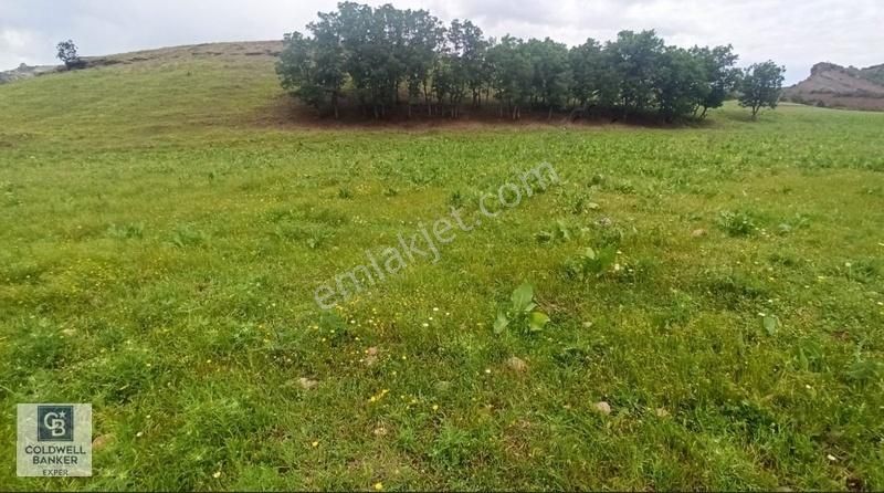 Müthiş Konum Arsa