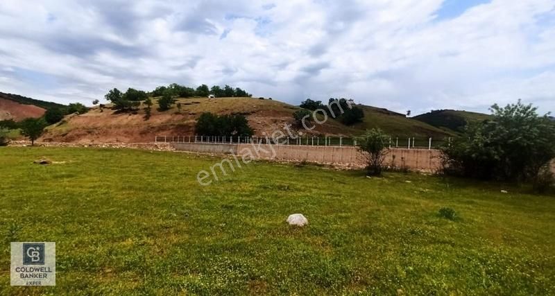 Tunceli De Villa İmarlı Arsa