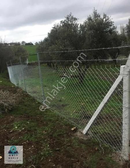 Karacabey Satılık Tarla Ve Bağ Evi - Görsel 3