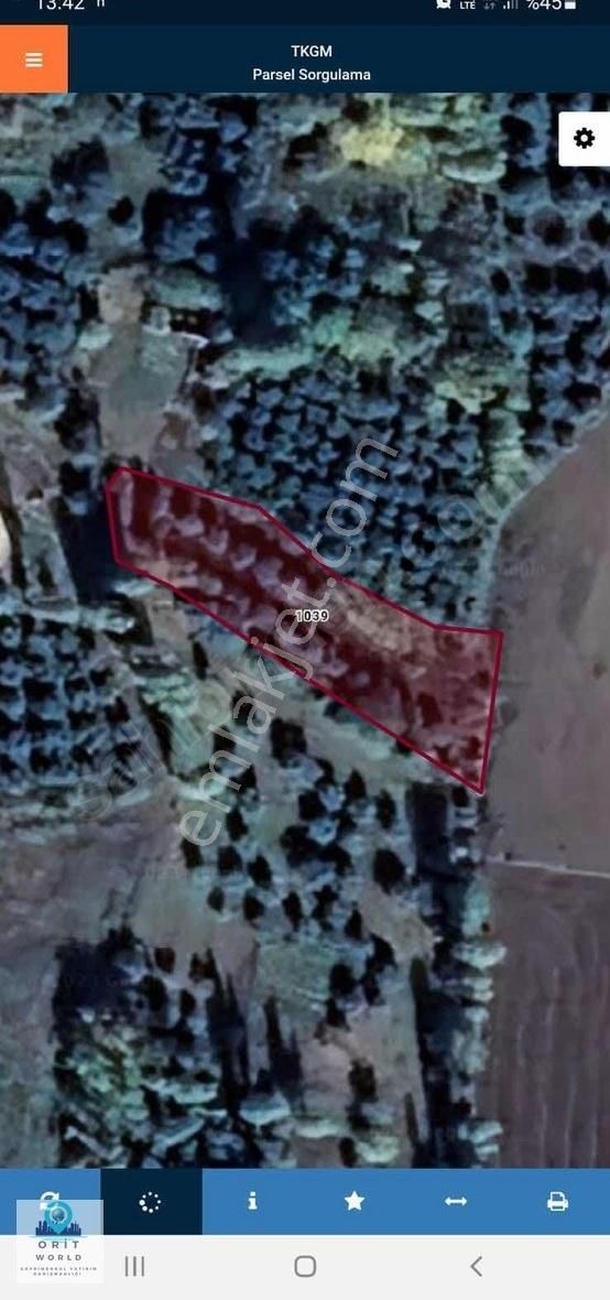 Karacabey Satılık Tarla Ve Bağ Evi - Görsel 4