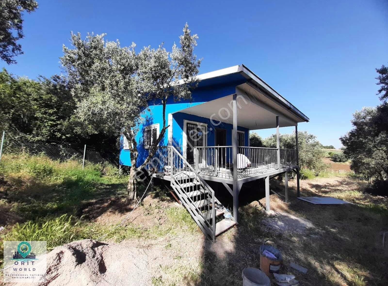 Karacabey Satılık Tarla Ve Bağ Evi - Görsel 2