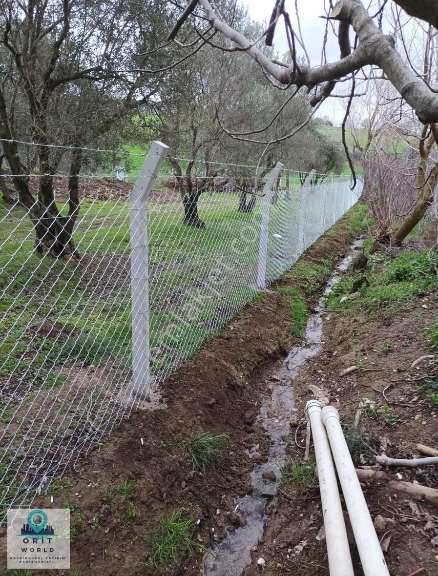 Karacabey Satılık Tarla Ve Bağ Evi - Görsel 6