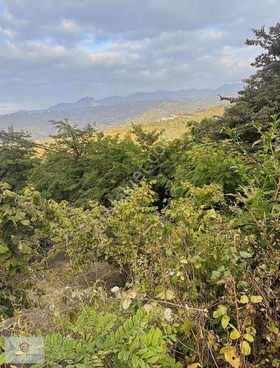 Terzilide 300m2 Satılık Bahçe
