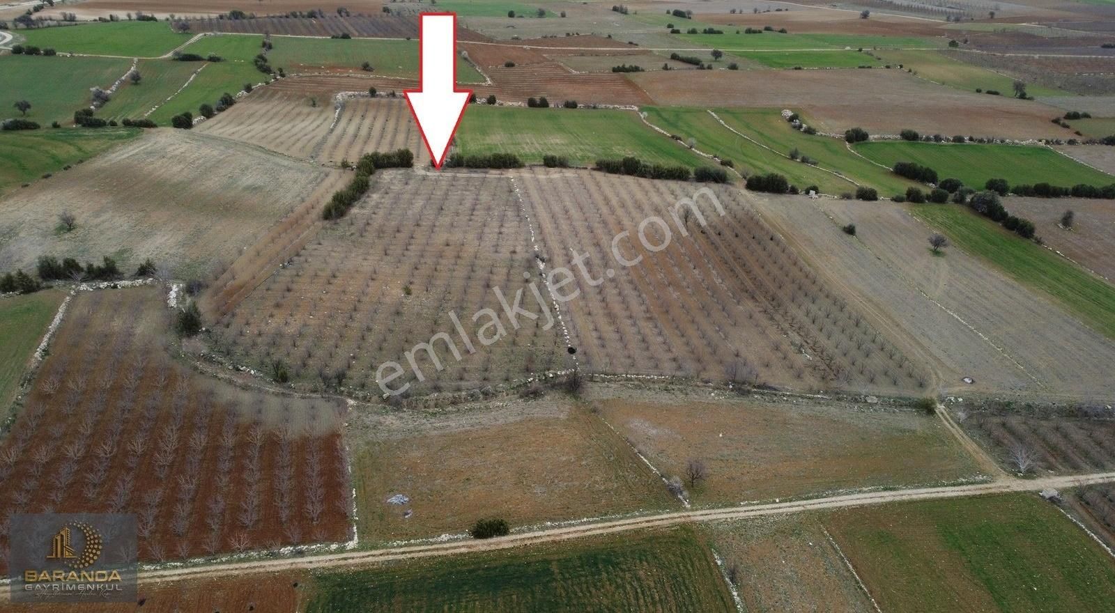 Elmalı İslamlar Mahallesi'nde Satılık 9000 M² Tarla