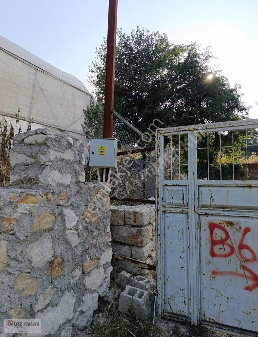 Kurtuluş Mahallesinde 482 M² Müstakil Evli Tarla