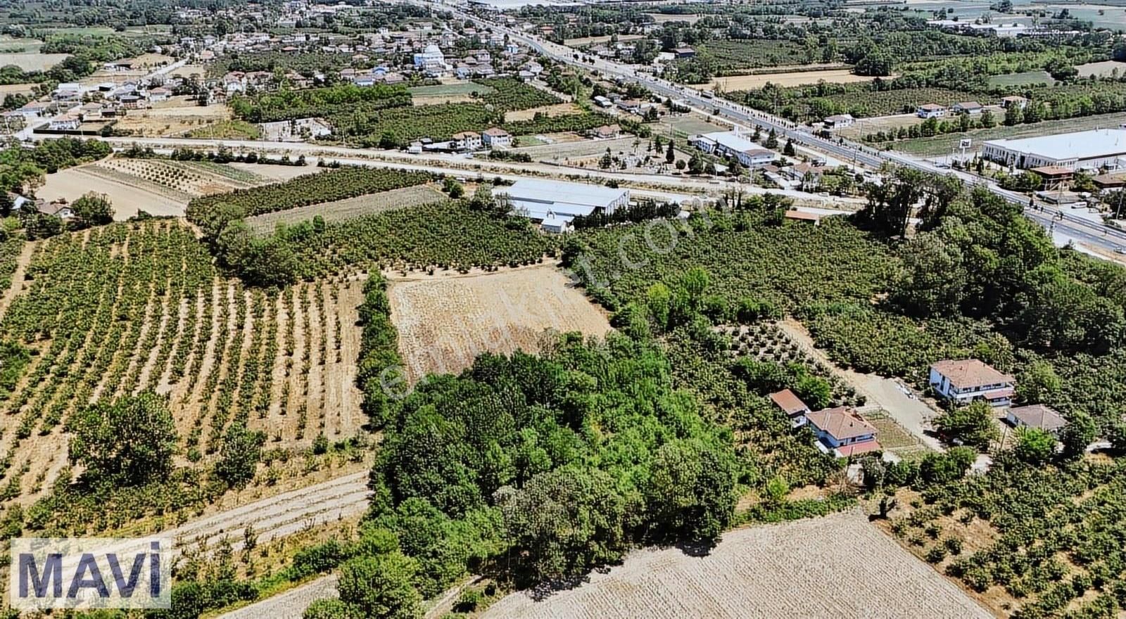Remax Mavi'den Hacıkadiler'de 1570 M² Konut İmarlı Arsa
