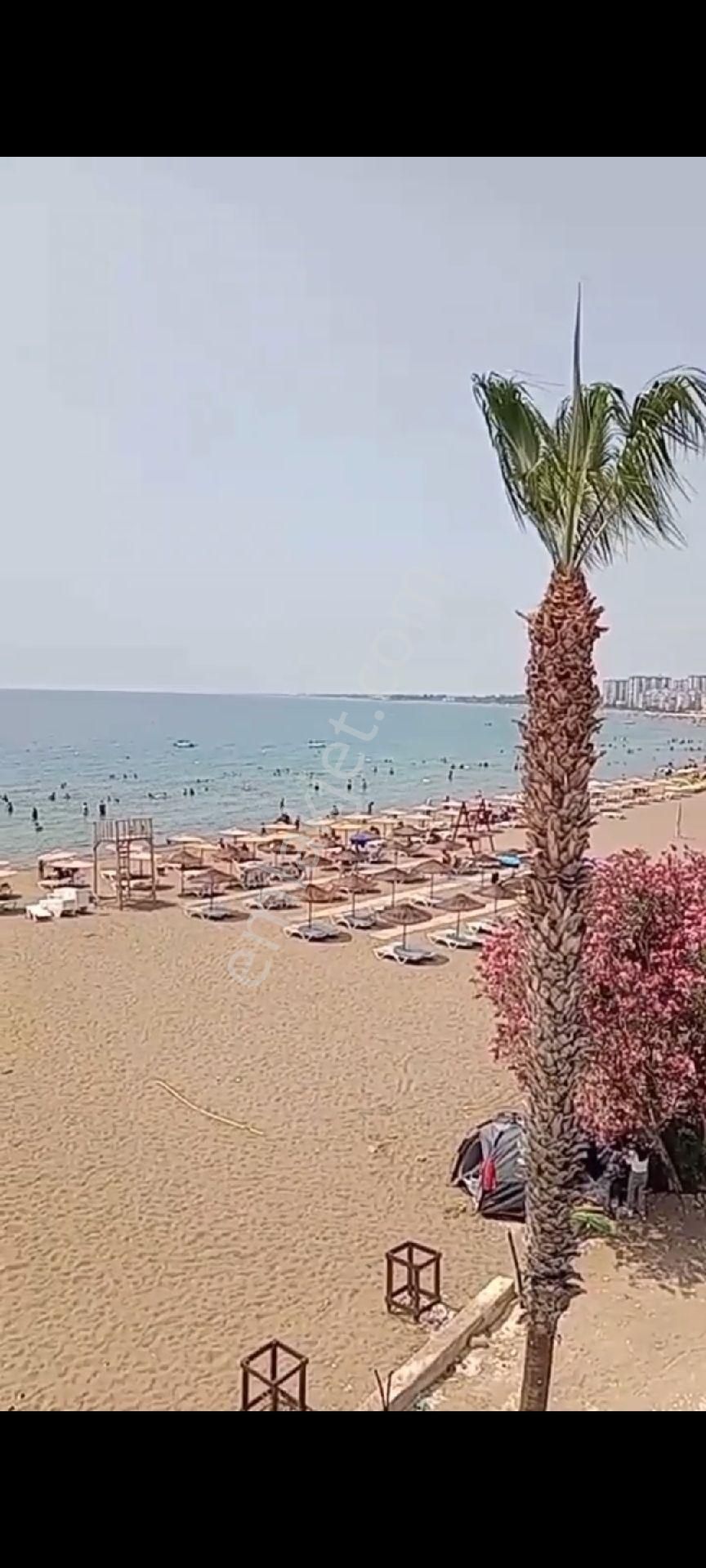 Susanoğlunda Denize Sıfır Satılık Yazlık