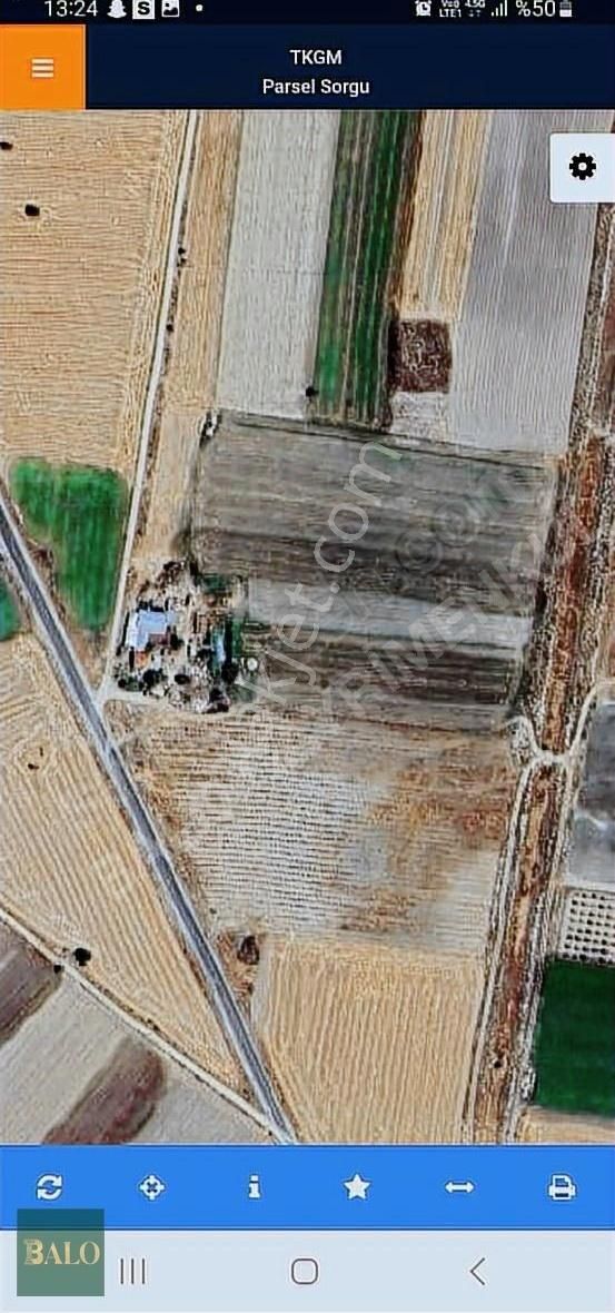 Denizli Acıpayamda Yarı Fiyatına Acil Satılık Tarla