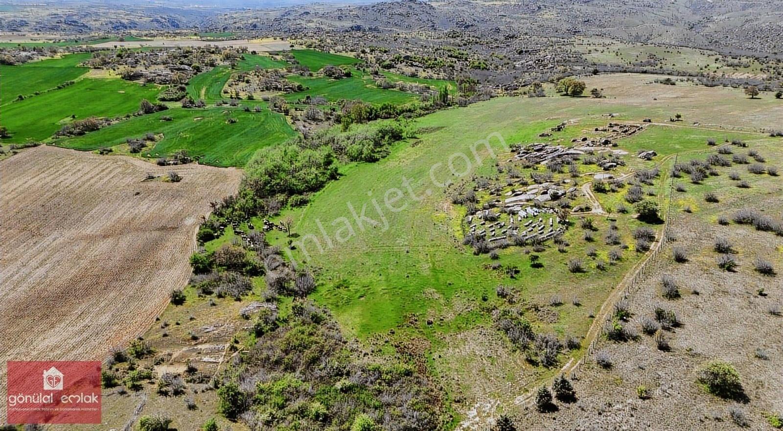 Kırklareli Üniversite Sınırı 43.400 M2 Yurt,çiflik,bungalov Kent - Görsel 24