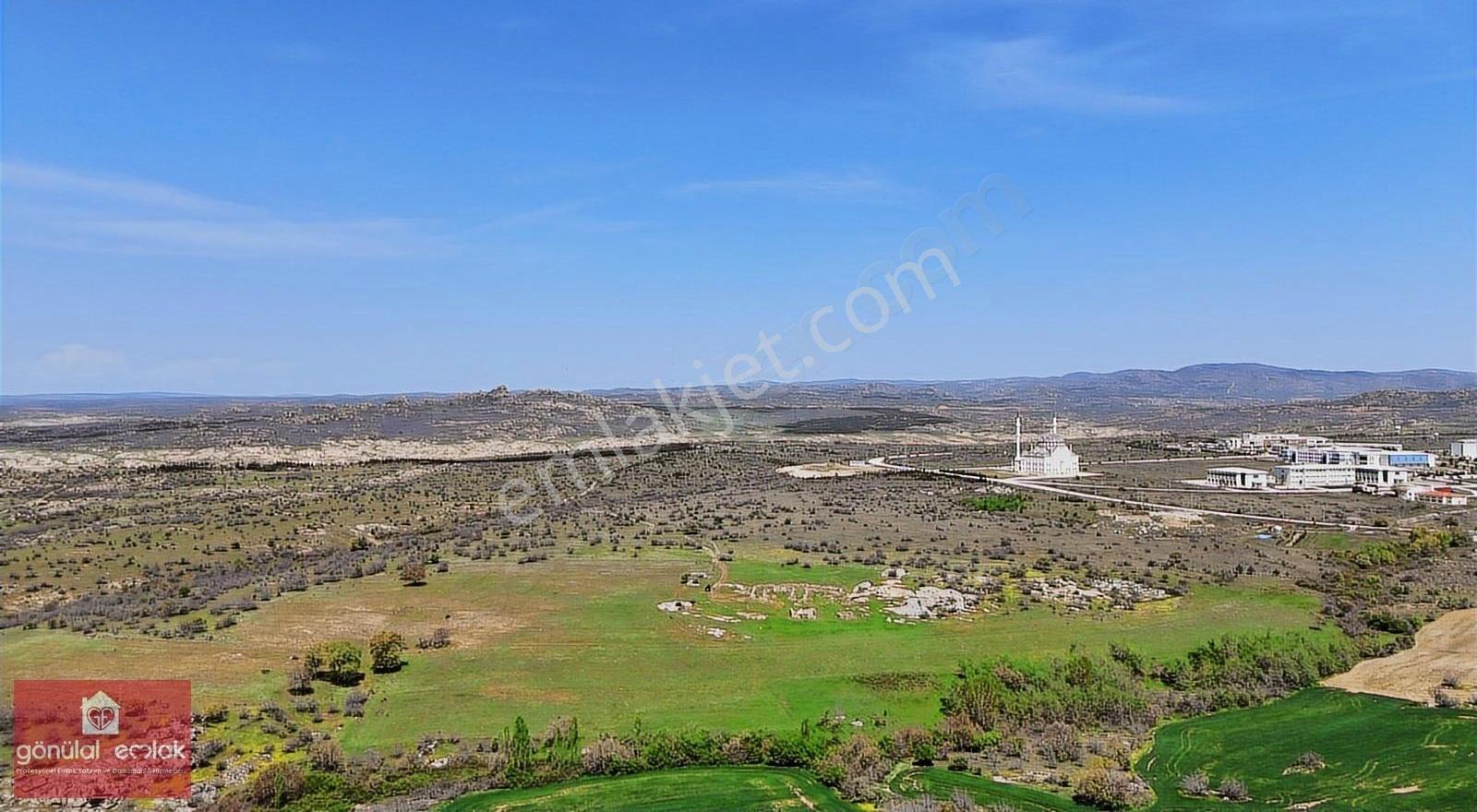 Kırklareli Üniversite Sınırı 43.400 M2 Yurt,çiflik,bungalov Kent - Görsel 19