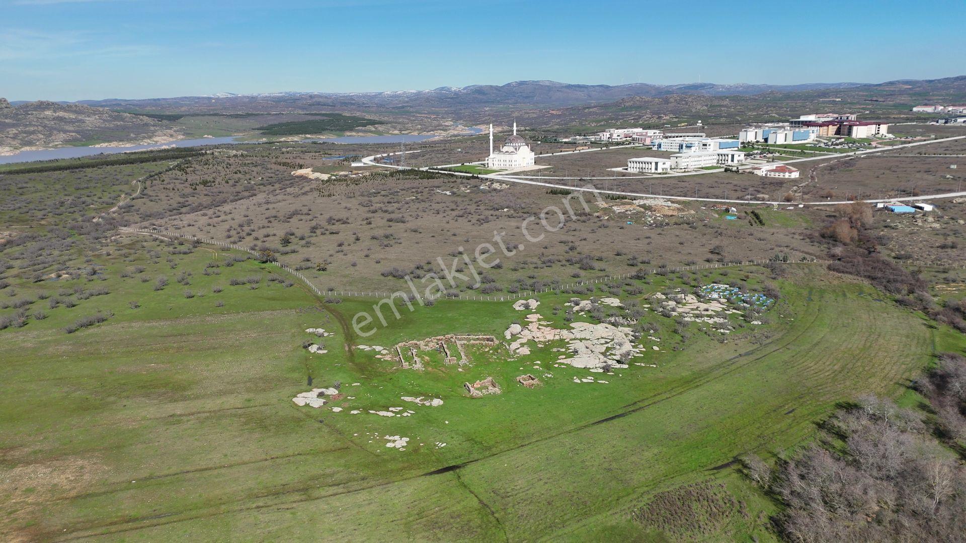 Kırklareli Üniversite Sınırı 43.400 M2 Yurt,çiflik,bungalov Kent - Görsel 29