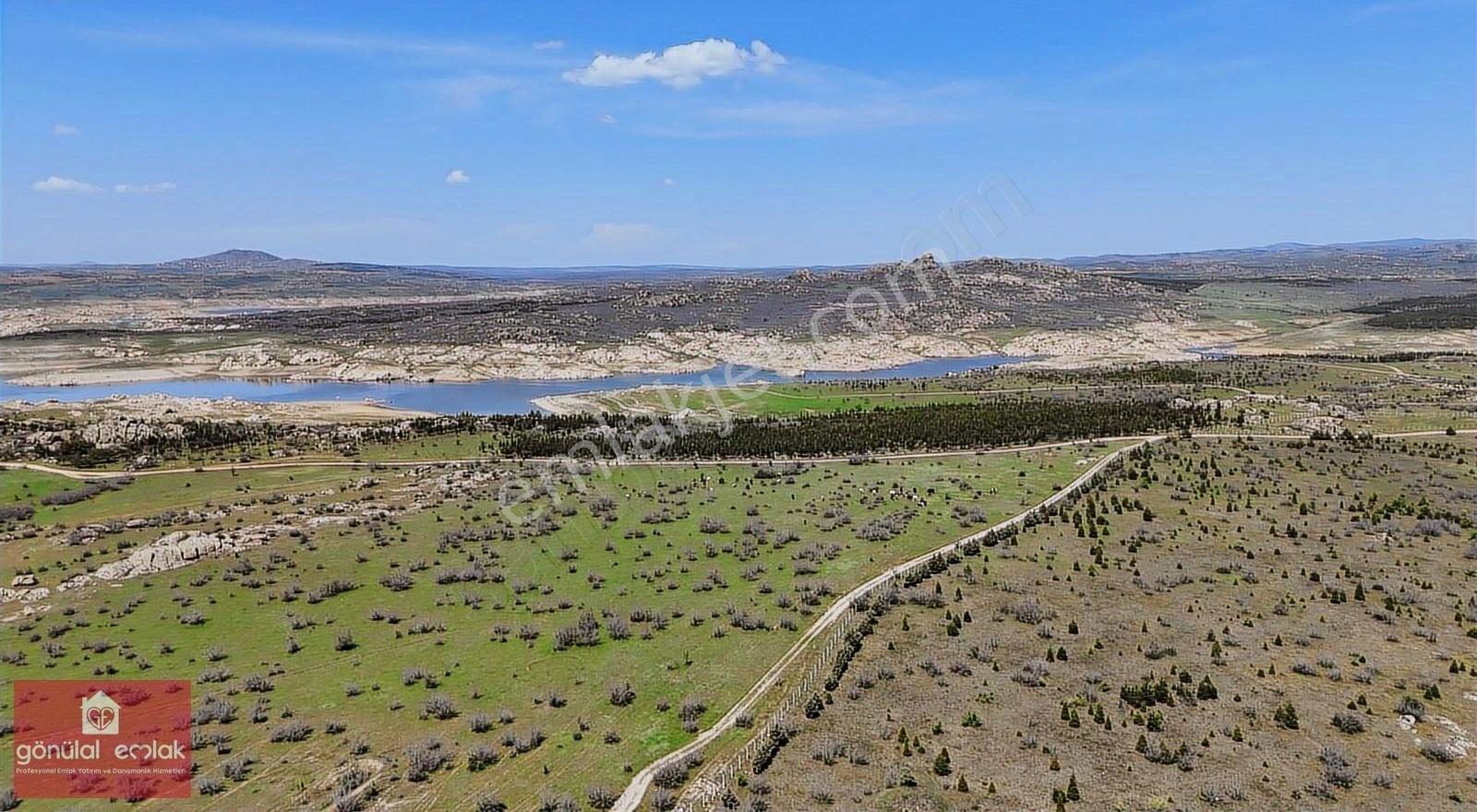Kırklareli Üniversite Sınırı 43.400 M2 Yurt,çiflik,bungalov Kent - Görsel 7