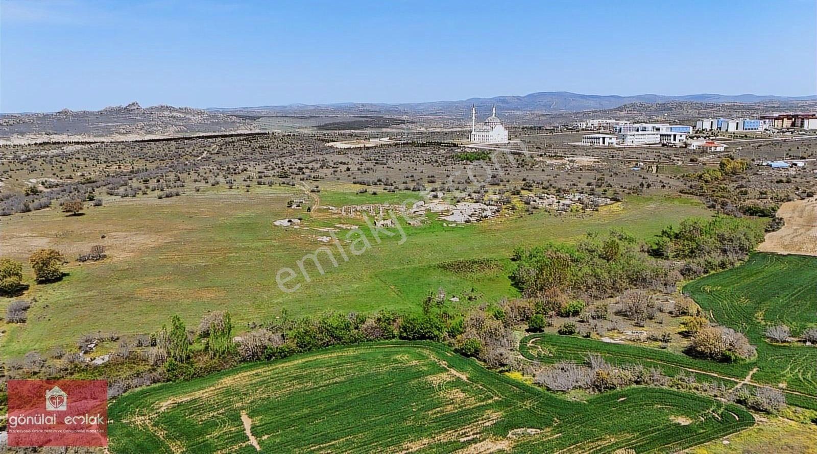 Kırklareli Üniversite Sınırı 43.400 M2 Yurt,çiflik,bungalov Kent - Görsel 10