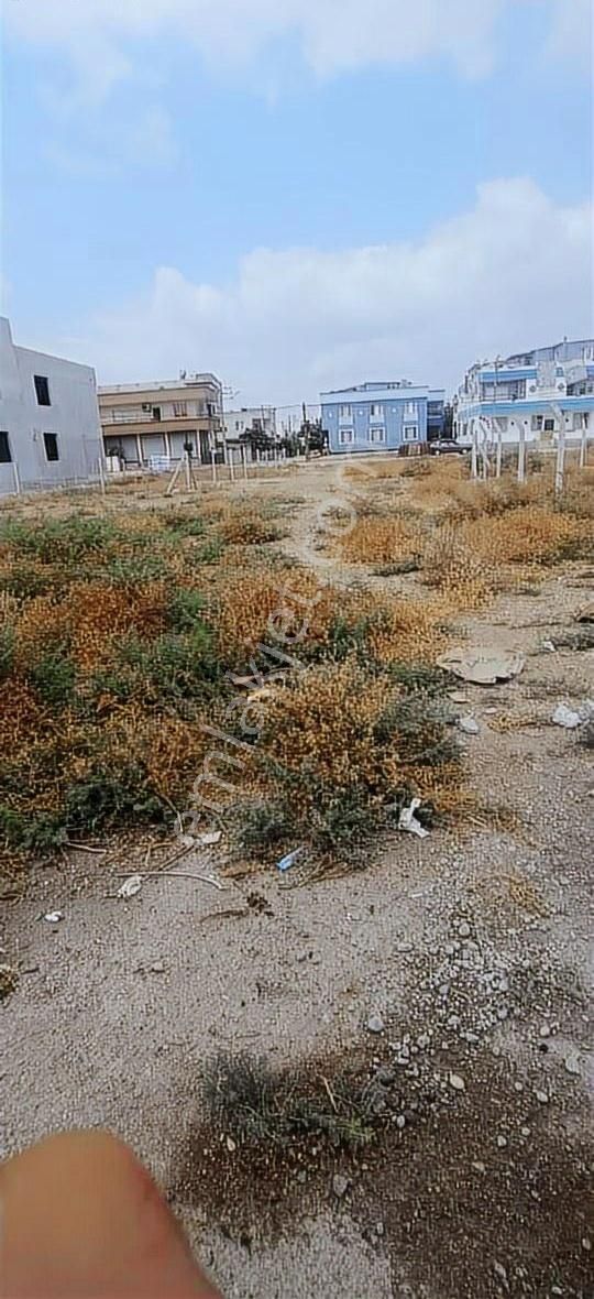 Küçük Dikili Kavaklıda İmarlı Arsa