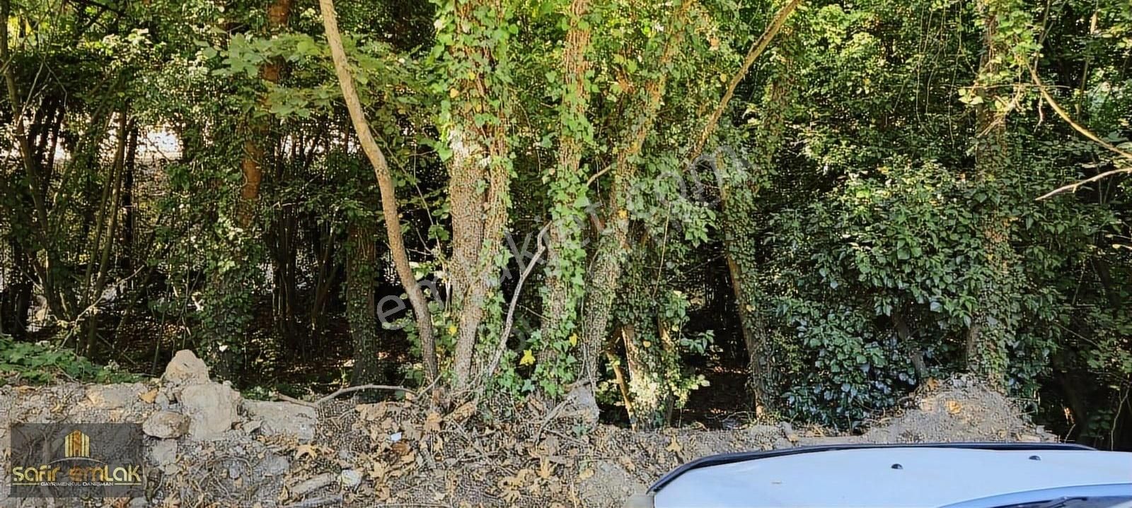 Doğa İçerisinde Müthiş Konumda Satılık Yatırımlık Arazi - Görsel 14