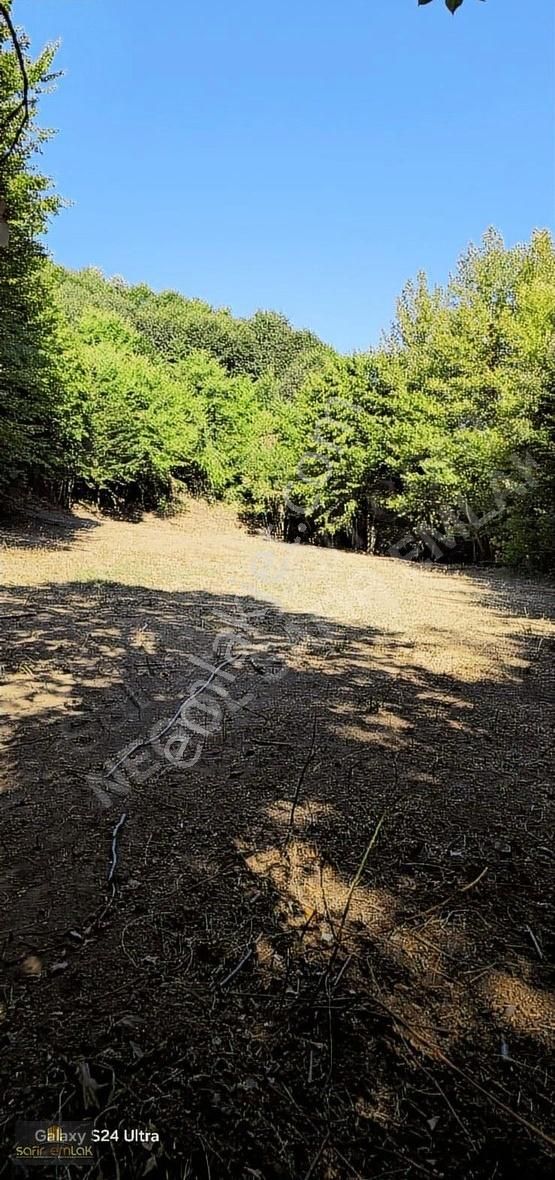 Doğa İçerisinde Müthiş Konumda Satılık Yatırımlık Arazi - Görsel 12