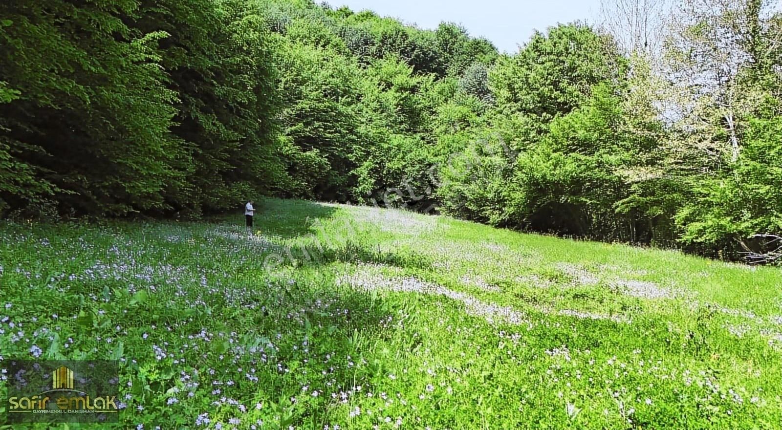 Doğa İçerisinde Müthiş Konumda Satılık Yatırımlık Arazi - Görsel 31