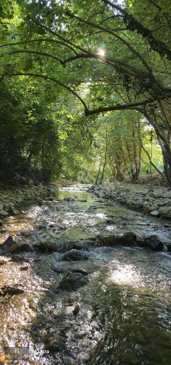 Doğa İçerisinde Müthiş Konumda Satılık Yatırımlık Arazi - Görsel 32
