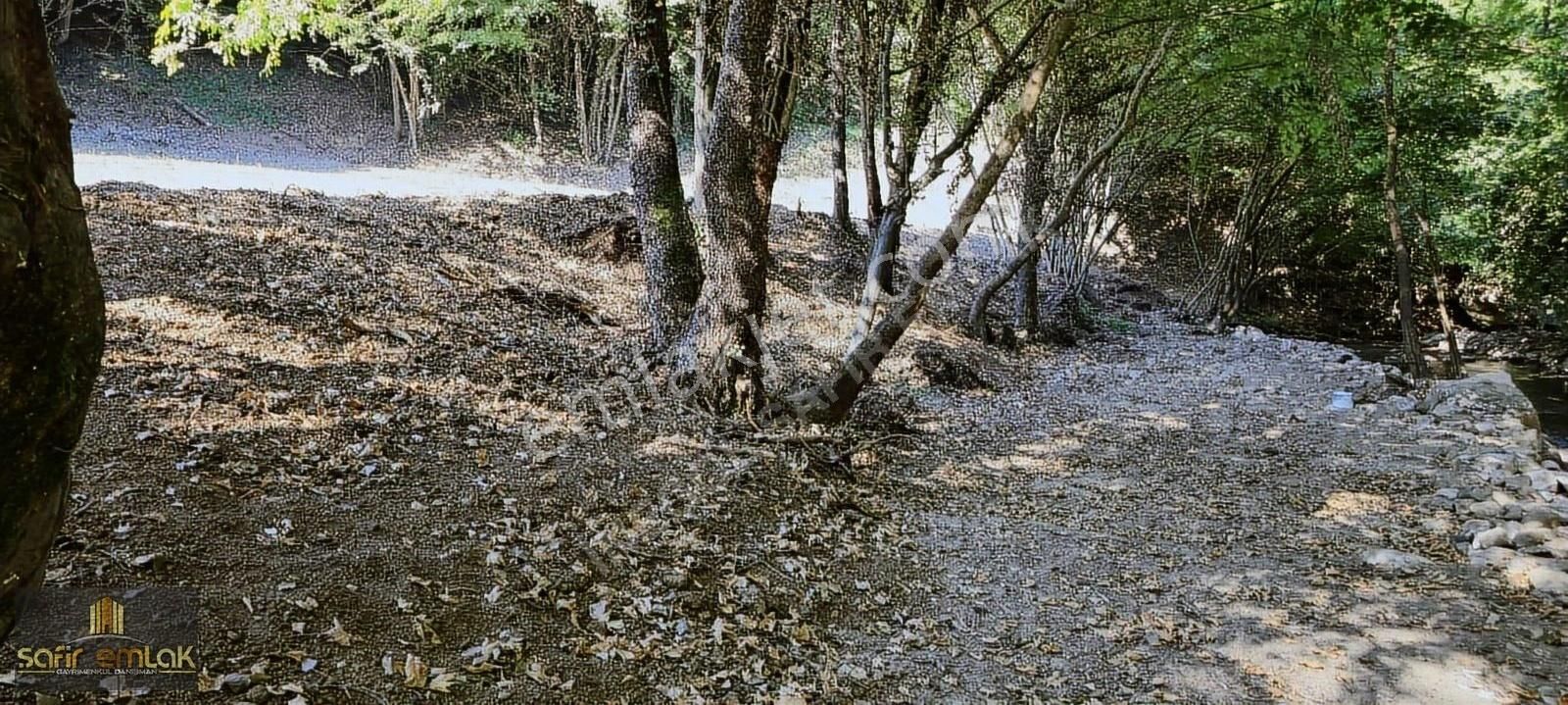 Doğa İçerisinde Müthiş Konumda Satılık Yatırımlık Arazi - Görsel 13