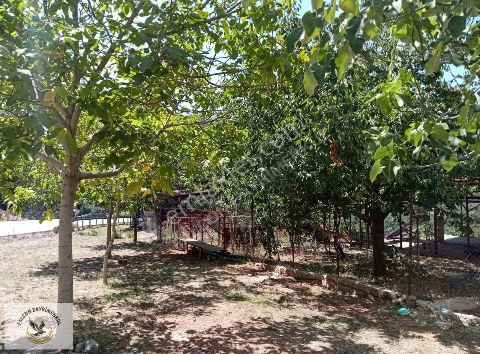 Nif'de 1373 M2 Arsa İçerisinde Satılık Köy Evi Ve Arsa - Görsel 2