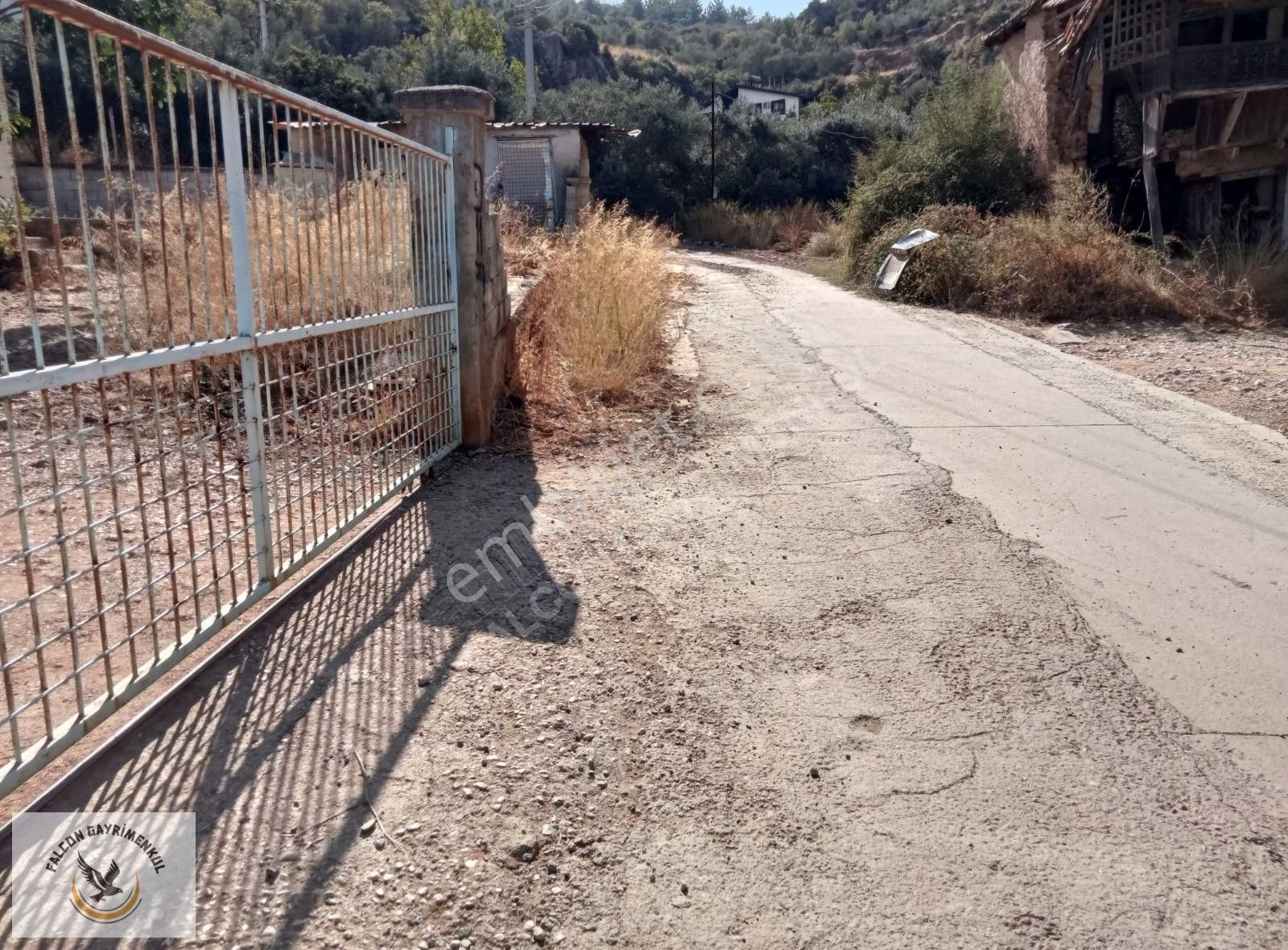 Falcon Dan Patlangıç Da 620m²