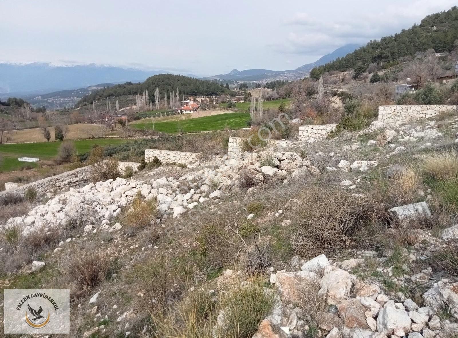 Falcon Dan Yaka Da Fırsat 828m²arsa