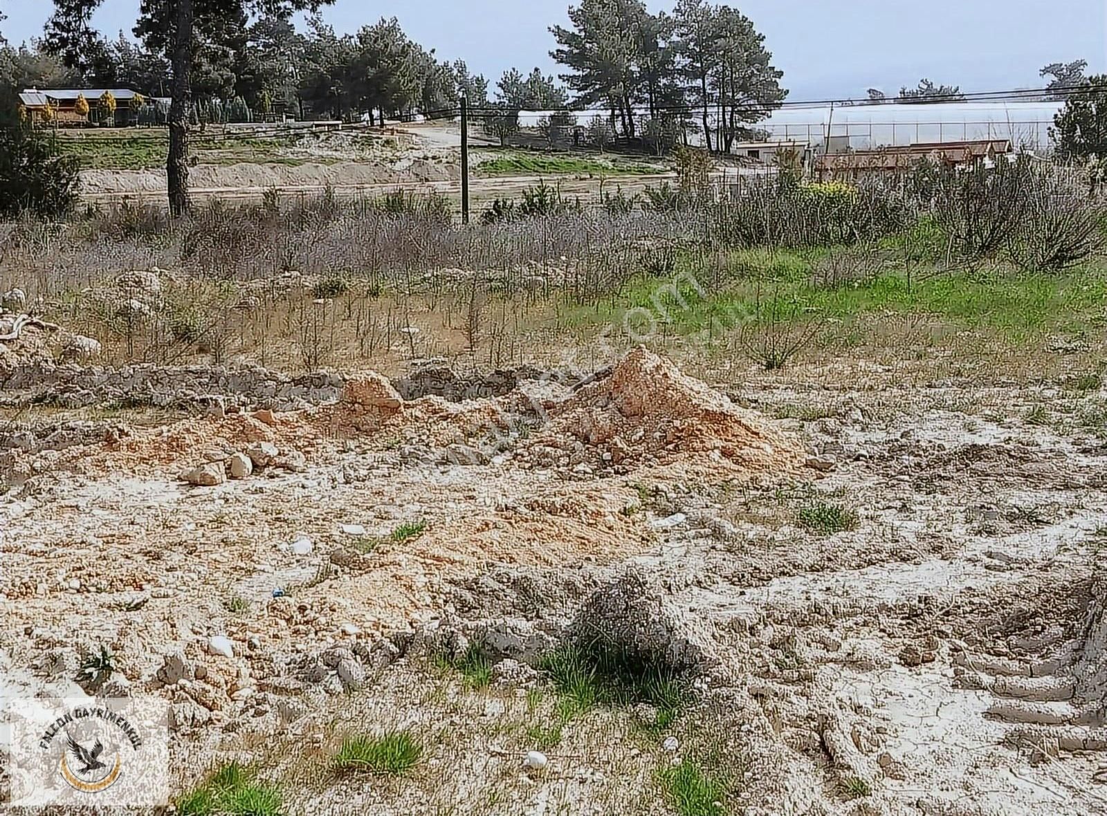 Falcon Dan Çaykenarı Mh.1292m³ Fırsat Arsa - Görsel 25