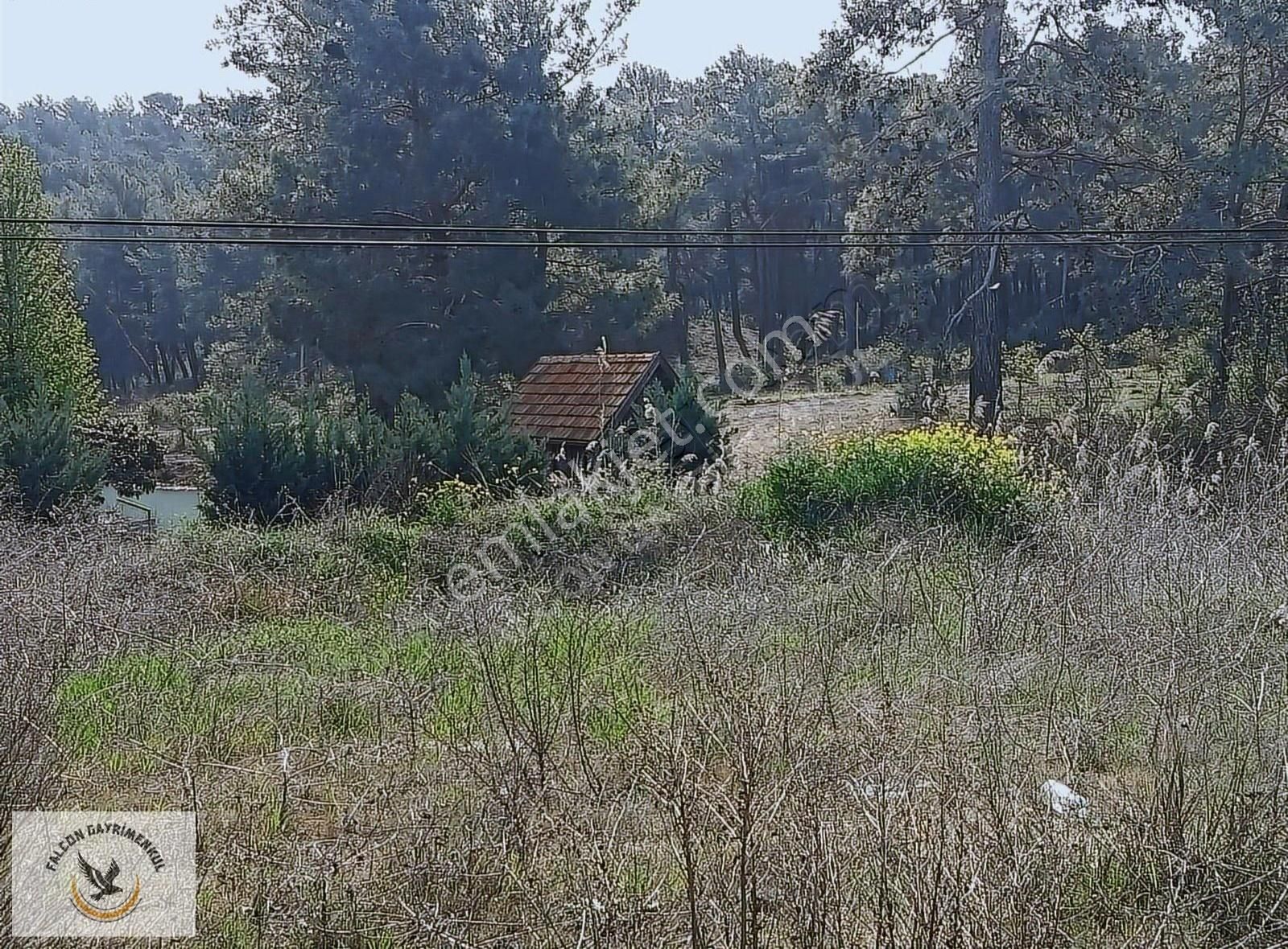 Falcon Dan Çaykenarı Mh.1292m³ Fırsat Arsa - Görsel 21