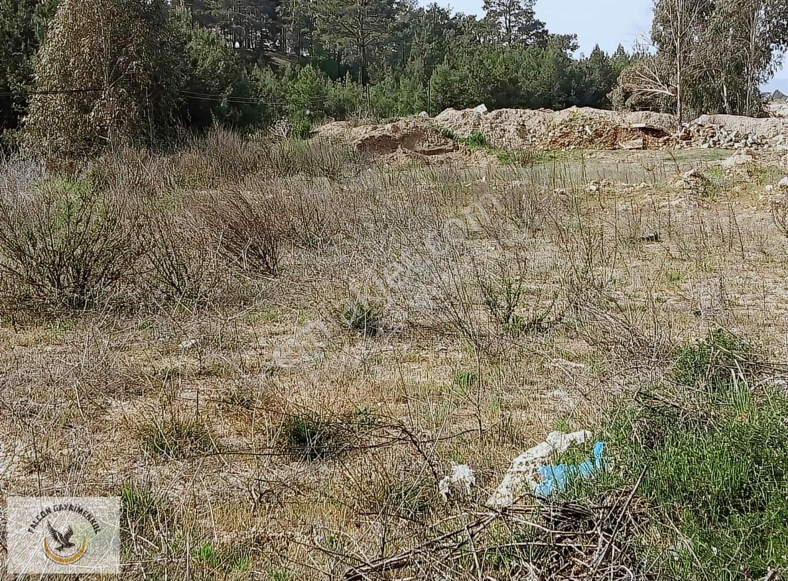 Falcon Dan Çaykenarı Mh.1292m³ Fırsat Arsa - Görsel 16