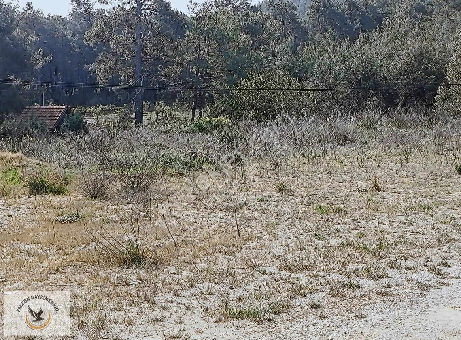 Falcon Dan Çaykenarı Mh.1292m³ Fırsat Arsa - Görsel 7