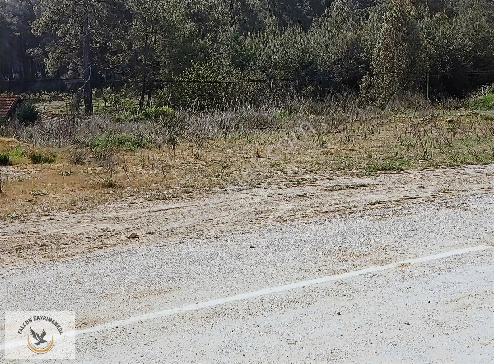 Falcon Dan Çaykenarı Mh.1292m³ Fırsat Arsa - Görsel 3