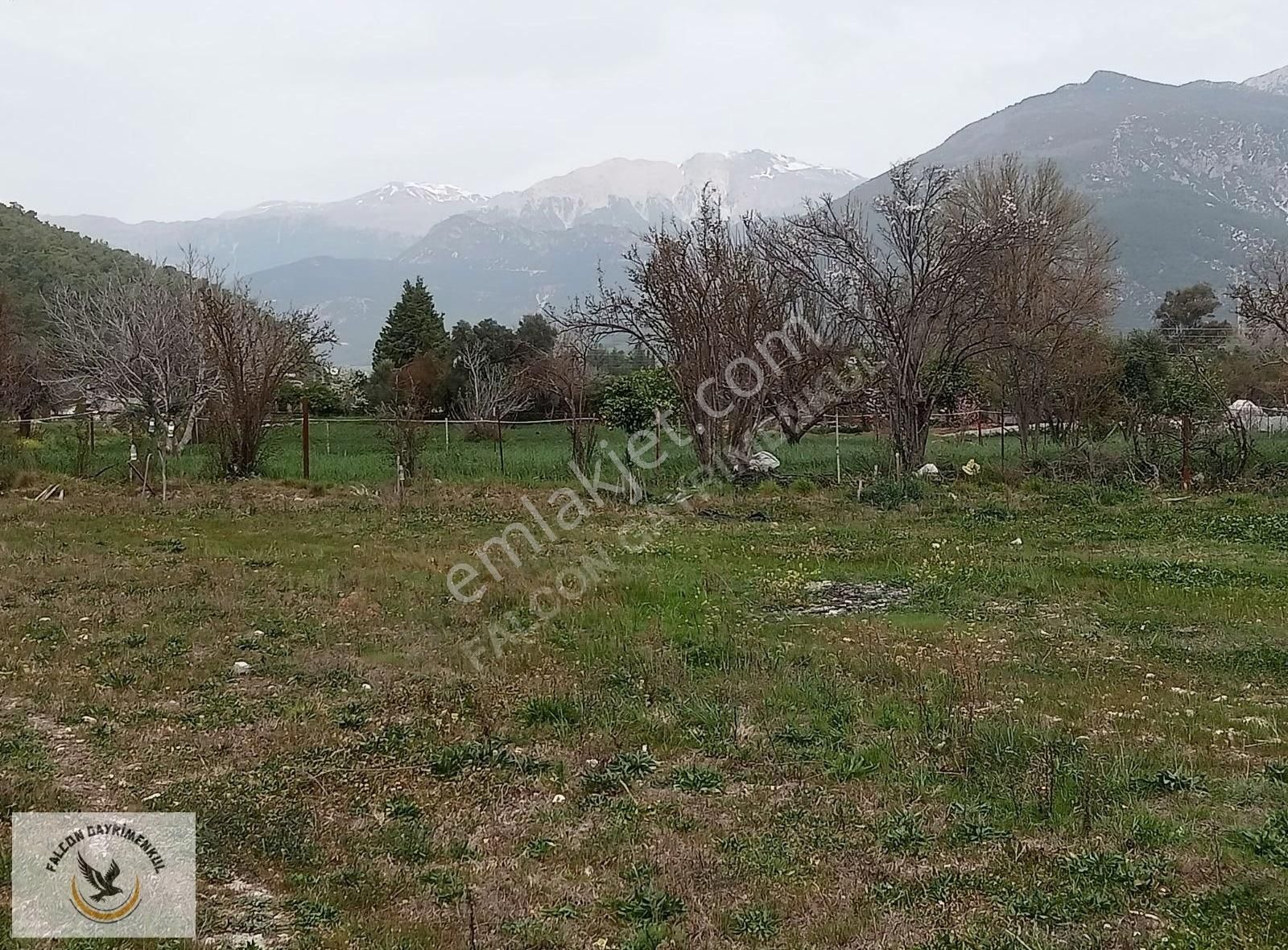 Falcon Dan Ortaköy De Fırsat 1100m²arsa - Görsel 3