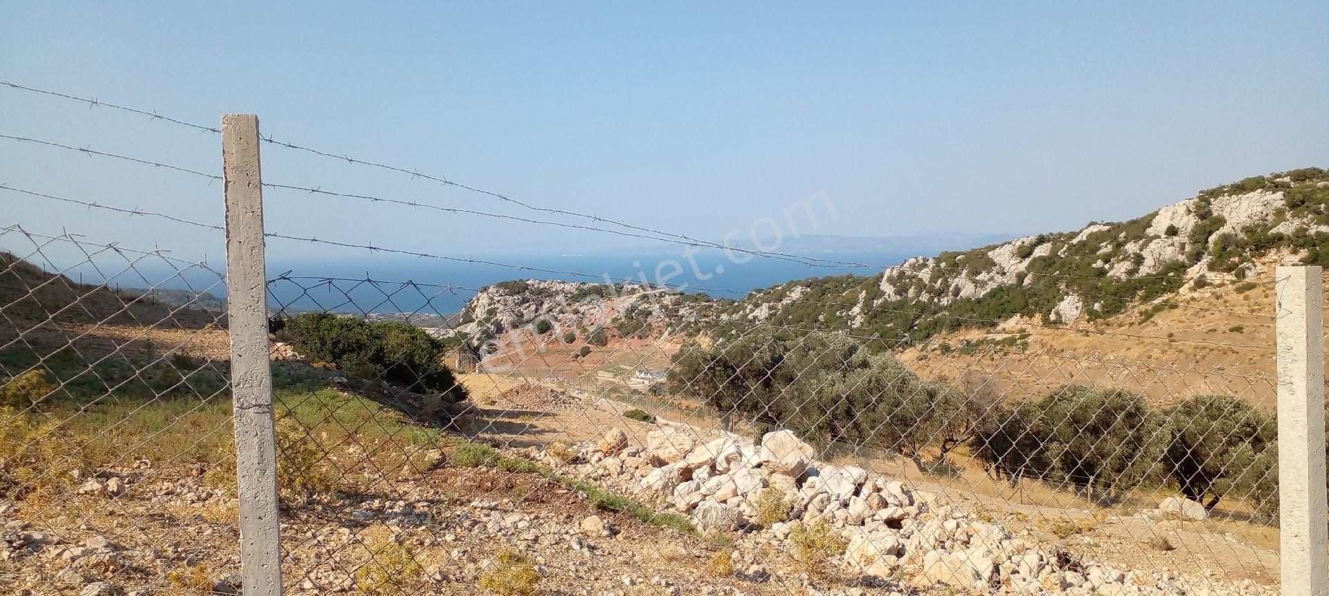 Mor Çiçek Emlak Mordoğan Çatalkaya Tarla - Görsel 4