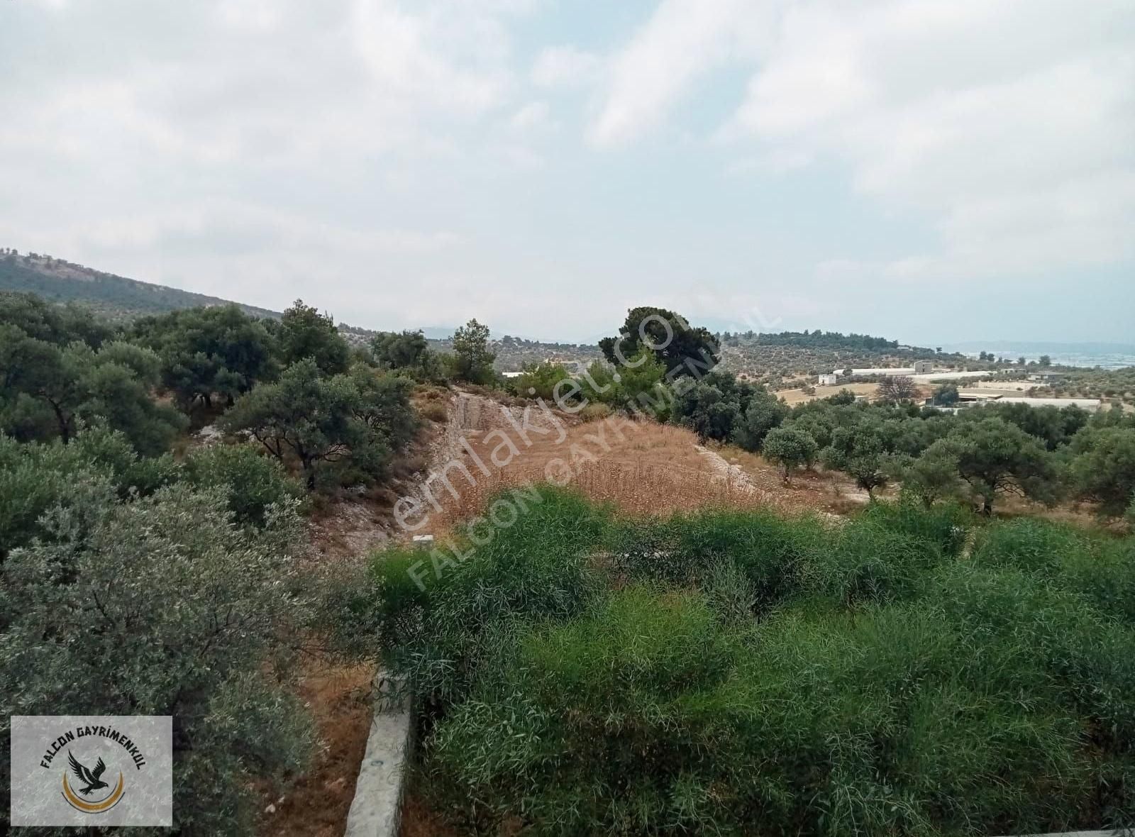 Falcon Dan Çavdır Da Fırsat Arsa - Görsel 22