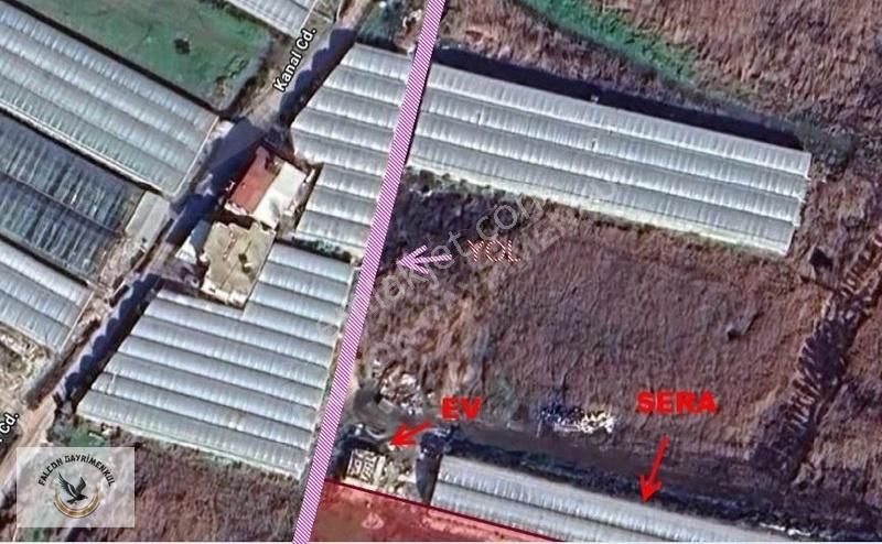 Falcon 'dan Kaş Ova'da 4956 M2 Fırsat Sera Arazizi