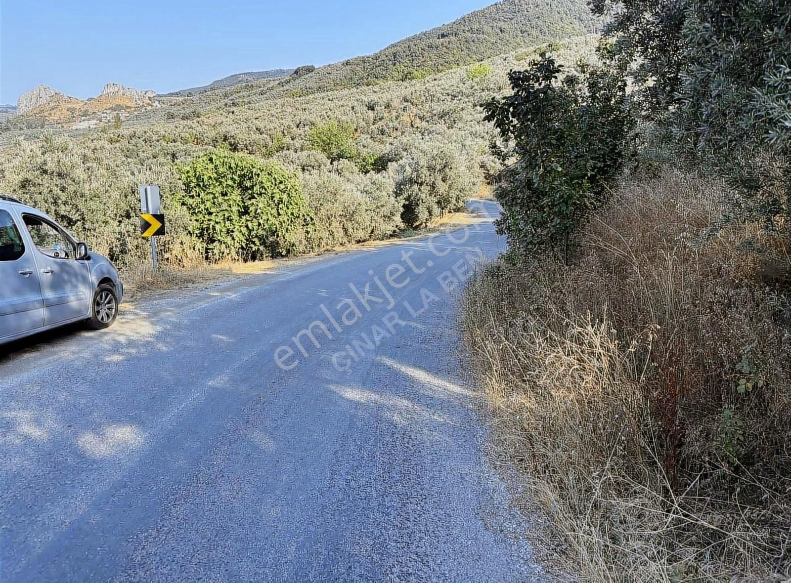 Bakmadan Geçme Göl Manzaralı Asfalt Kıyısı 954 M2 Zeytinlik - Görsel 6