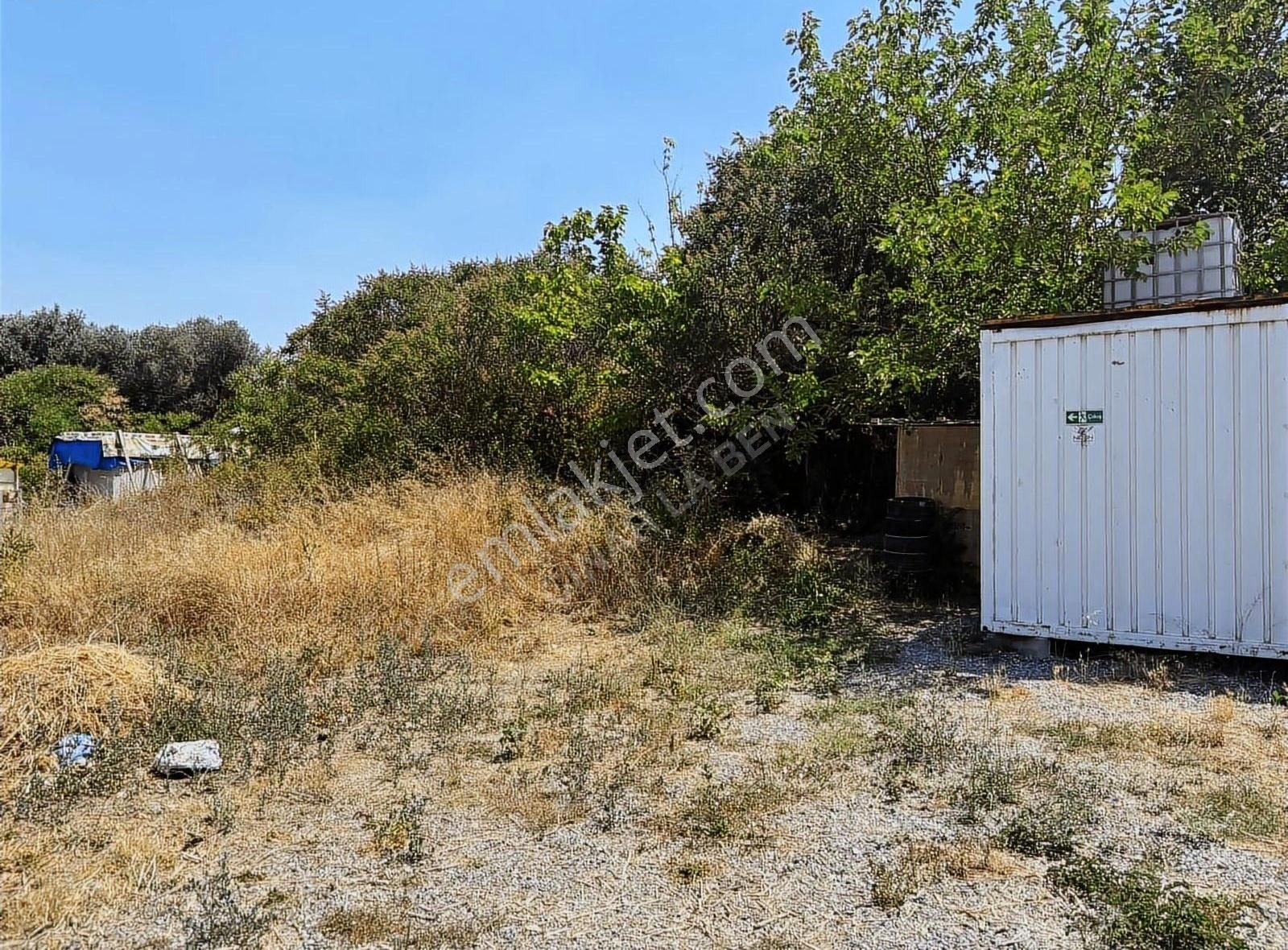 Göle 90 Metre Mesafede Etrafında Yerleşim Olan Satılık Arazi - Görsel 8