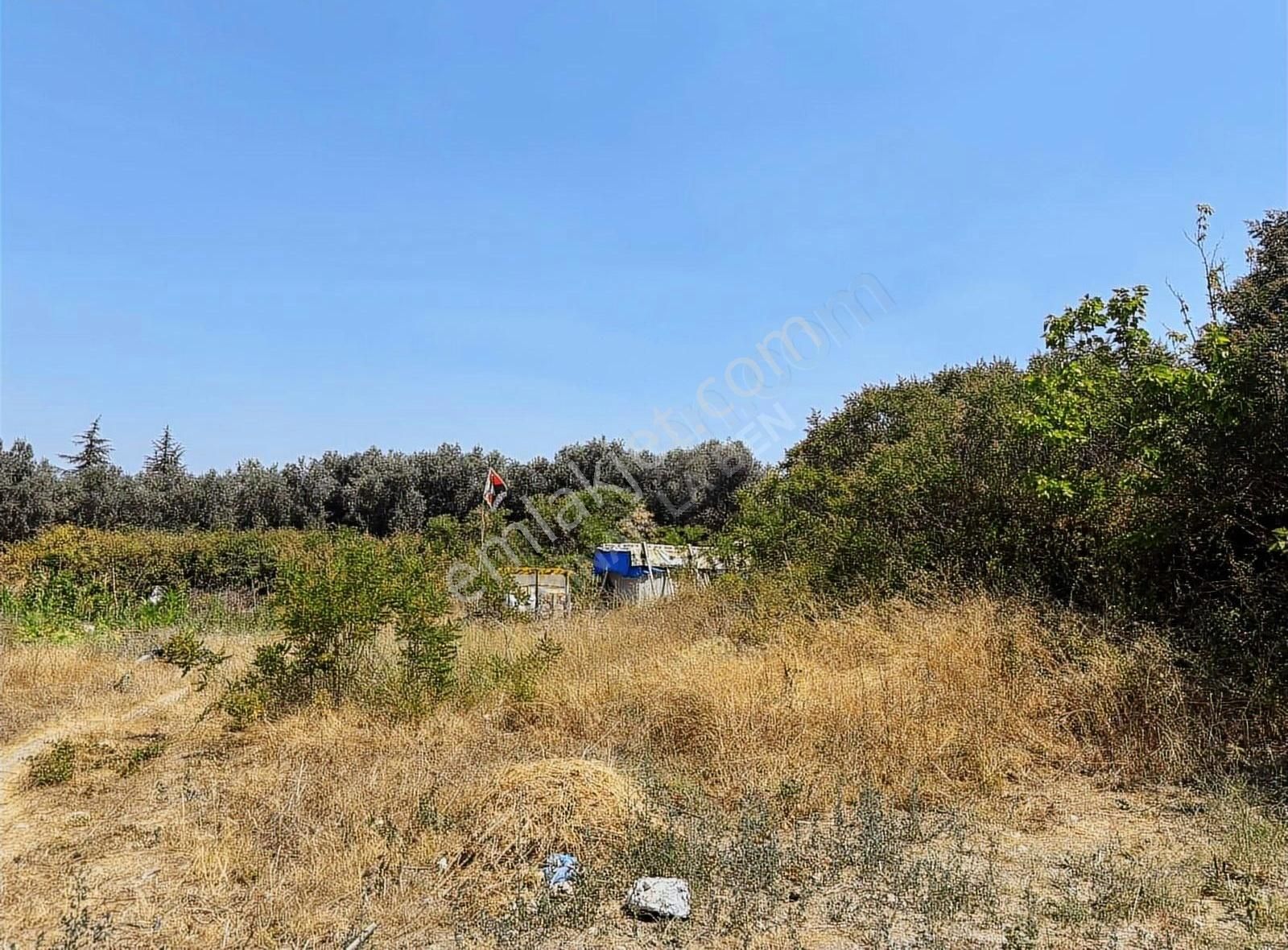 Göle 90 Metre Mesafede Etrafında Yerleşim Olan Satılık Arazi - Görsel 4