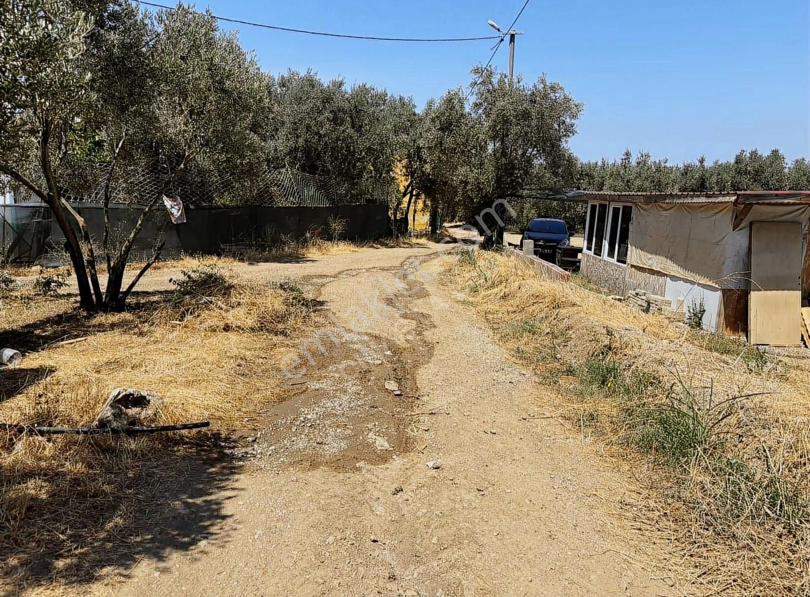 Göle 90 Metre Mesafede Etrafında Yerleşim Olan Satılık Arazi - Görsel 10