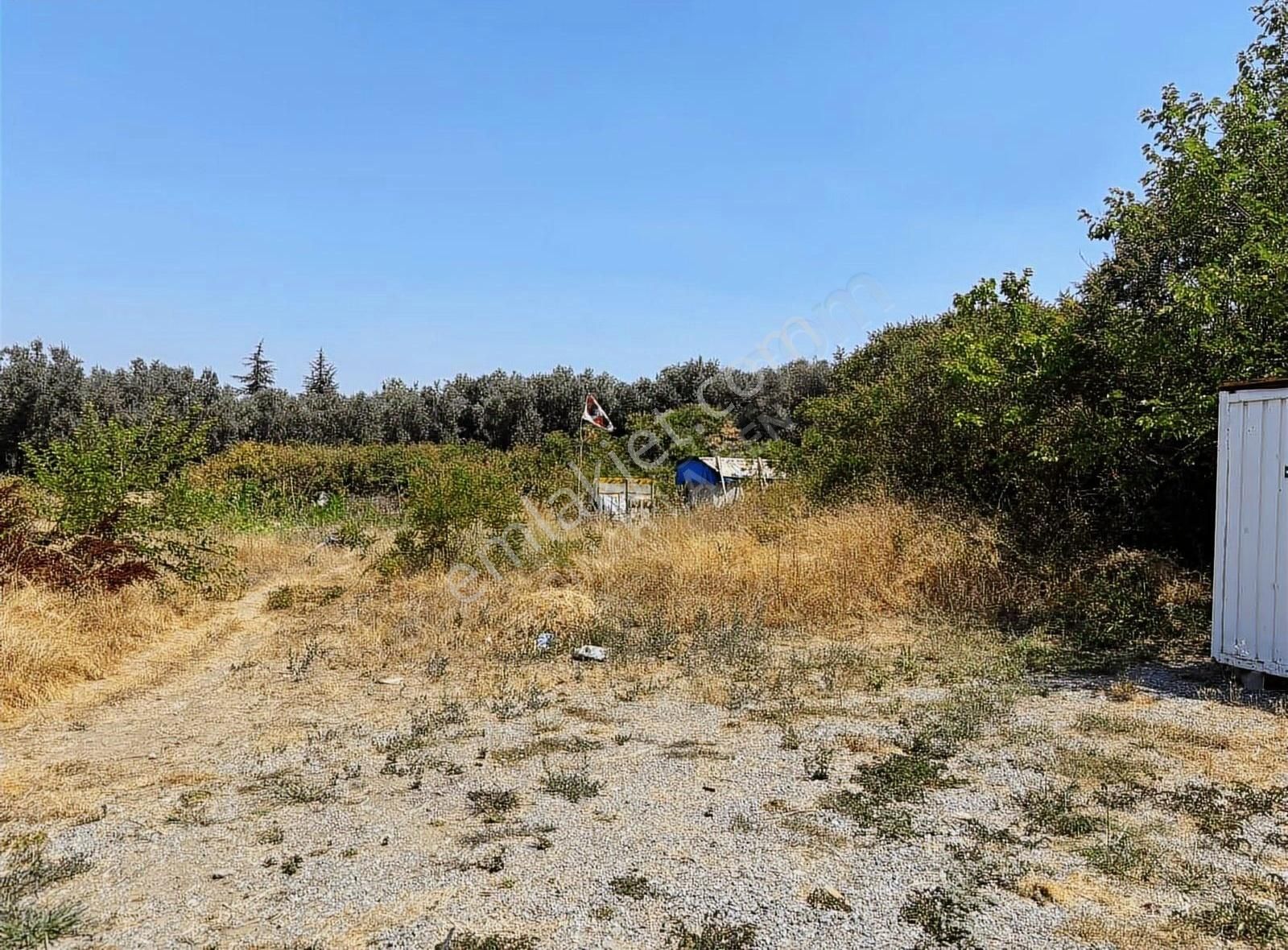 Göle 90 Metre Mesafede Etrafında Yerleşim Olan Satılık Arazi - Görsel 9