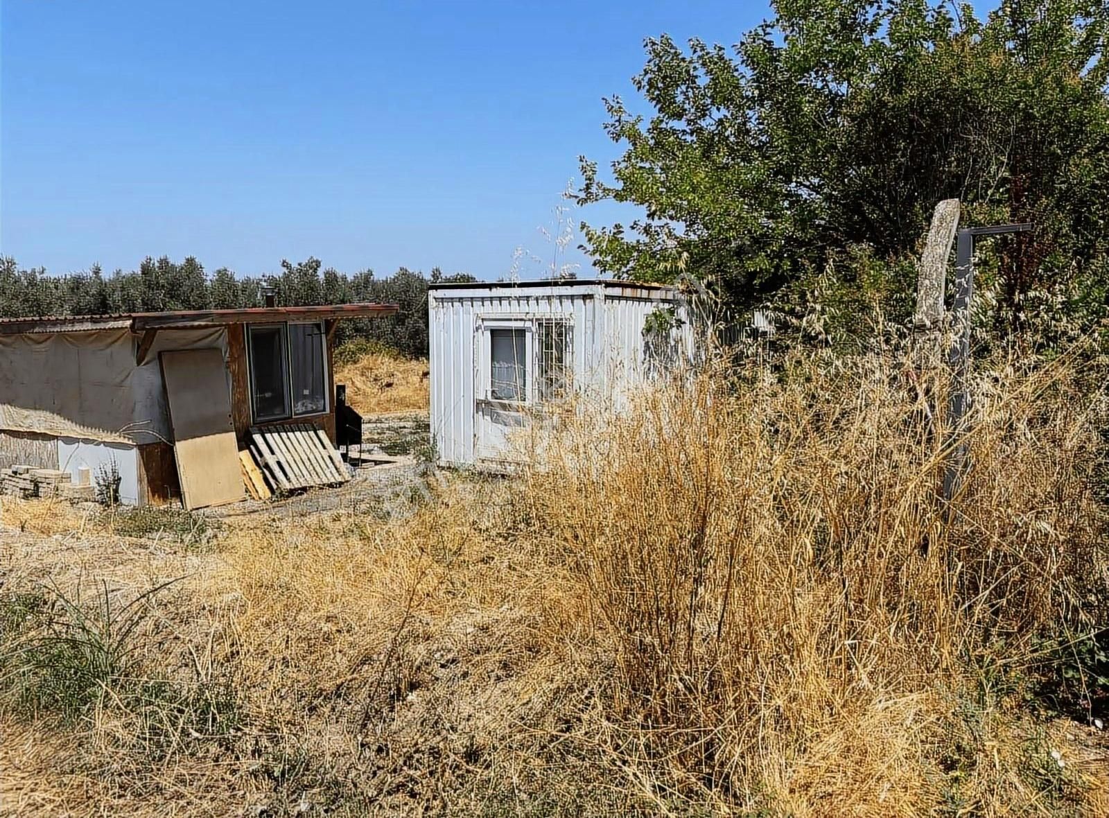 Göle 90 Metre Mesafede Etrafında Yerleşim Olan Satılık Arazi - Görsel 3