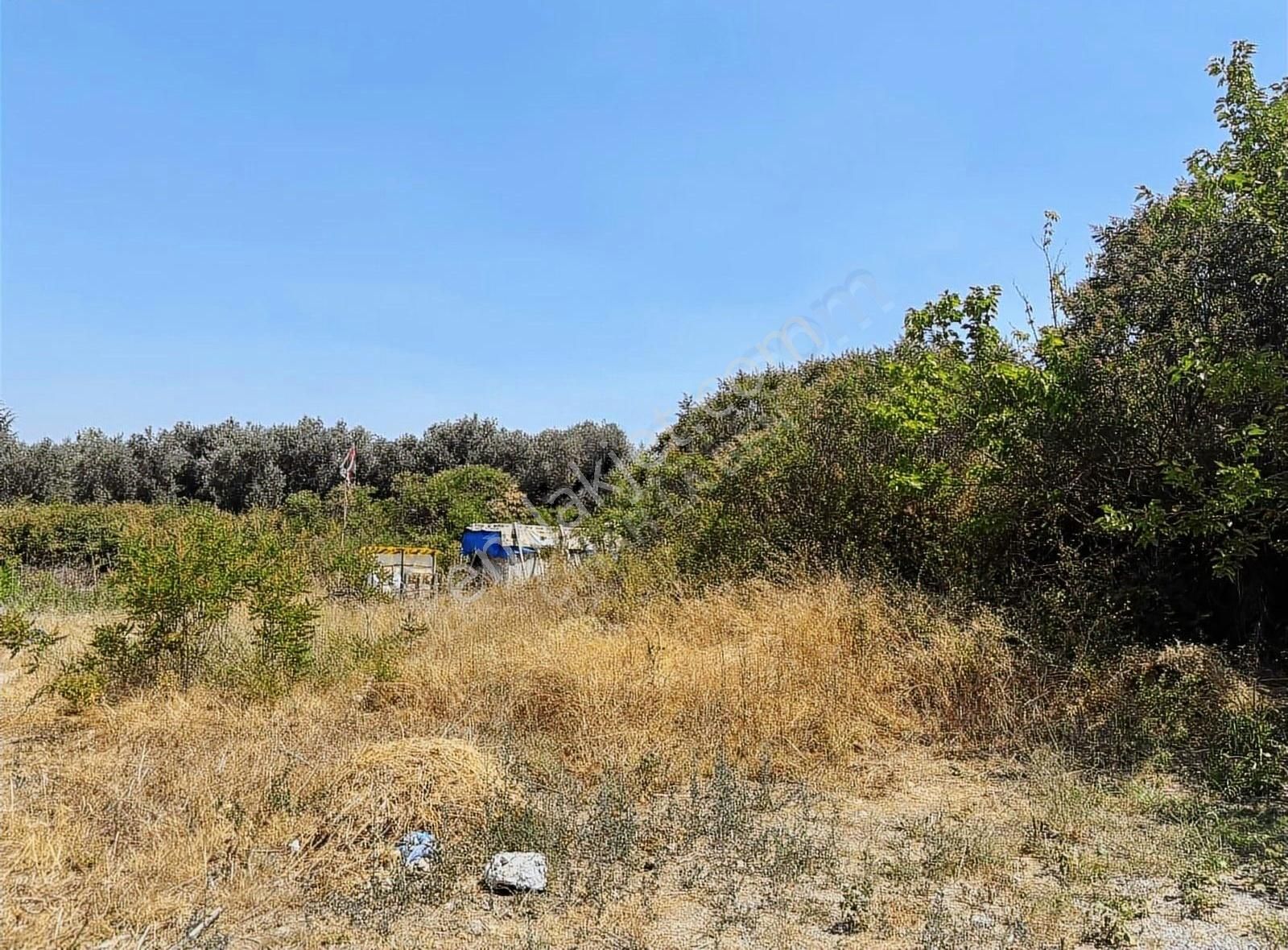Göle 90 Metre Mesafede Etrafında Yerleşim Olan Satılık Arazi - Görsel 7