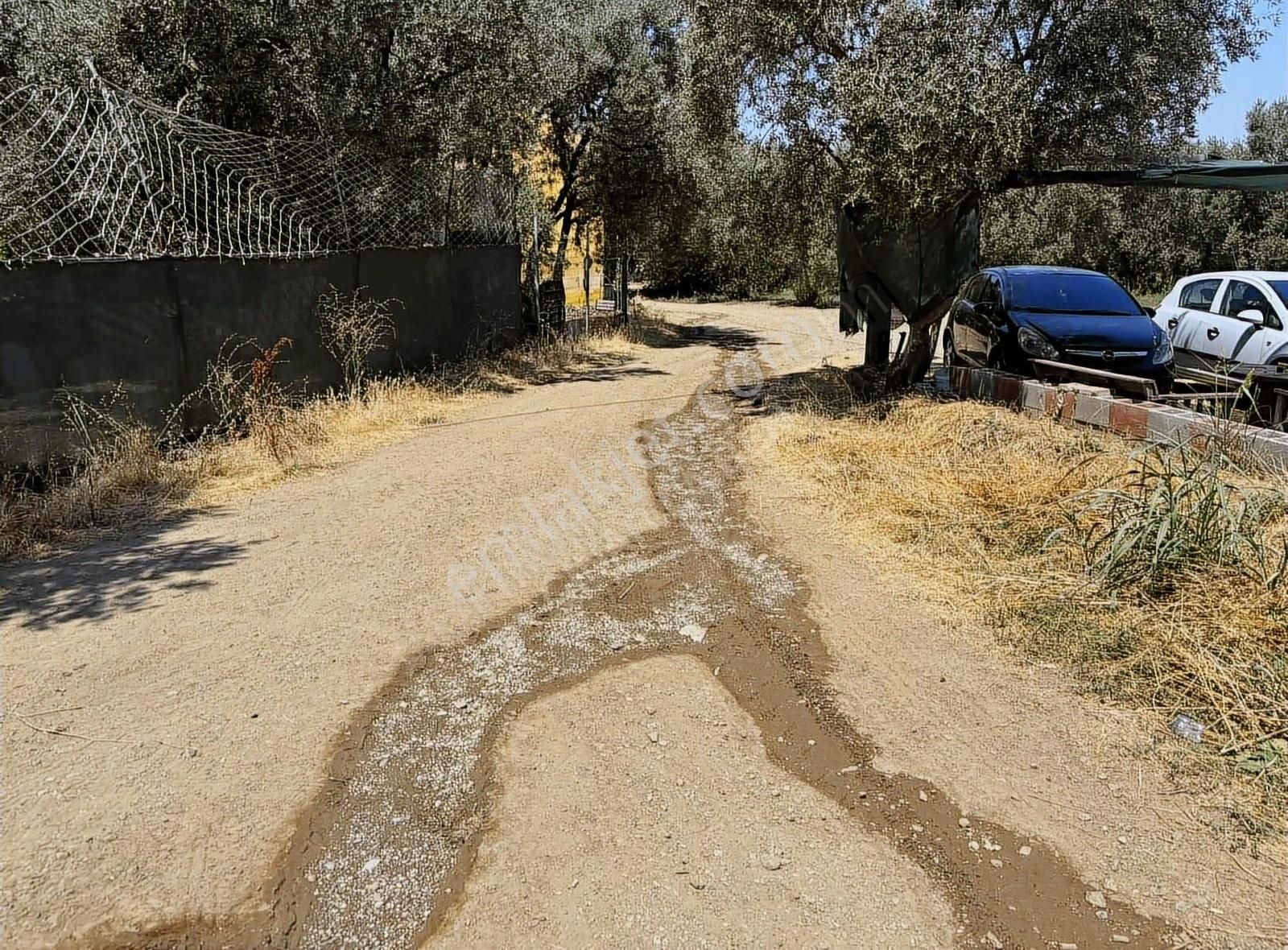 Göle 90 Metre Mesafede Etrafında Yerleşim Olan Satılık Arazi - Görsel 2